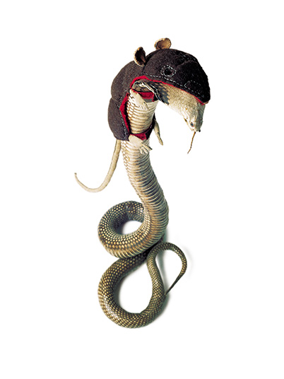 Die Schlange - als Räuber - ertarnt sich ihre begehrte Beute, 2001